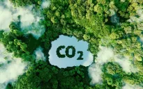Cần sớm hoàn thiện cấu trúc thị trường tín chỉ carbon