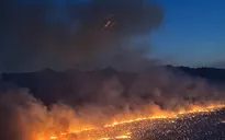 Cháy rừng nghiêm trọng ở Arizona, trên 1.100 người phải sơ tán