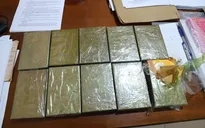 Thu giữ hơn 429 kg ma túy trong 6 tháng đầu năm