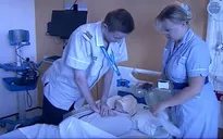 Nước Anh công bố kế hoạch tuyển dụng lao động y tế mới