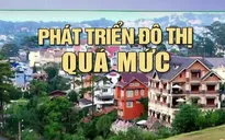 Từ vụ sạt lở nghiêm trọng ở Đà Lạt: Cần có cách ứng xử đúng mực với thiên nhiên