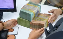Hàng trăm dự án nộp hồ sơ vay gói tín dụng 120.000 tỷ đồng