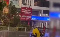 TP Hồ Chí Minh: Cây dầu 20 mét bật gốc ngã đổ trong cơn giông