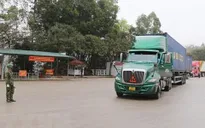 Không để nông sản vào vụ ùn ứ tại cửa khẩu