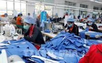 Xuất khẩu sẽ phục hồi trong 6 tháng cuối năm 2023?