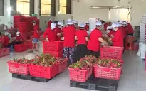 Sẽ sớm có các hiệp hội doanh nghiệp nông sản giữa Việt Nam và Trung Quốc