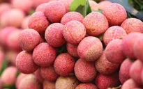 Vải thiều Việt Nam có giá hơn 400.000 đồng/kg tại Anh