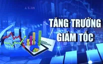 Kinh tế toàn cầu đang bấp bênh và hướng tới sự tăng trưởng chậm lại