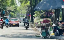 Bắc Bộ ngày nắng, chiều tối và đêm có mưa dông