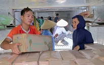 Hòa Bình tiếp tục xuất khẩu 18 tấn mía tươi sang Hoa Kỳ