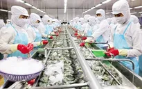 Đề xuất Trung Quốc sớm ký nghị định thư xuất khẩu thủy sản