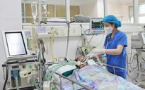 Hai người ngộ độc nguy kịch sau khi ăn so biển