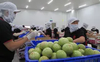 Hợp lực thúc đẩy xuất khẩu 6 tháng cuối năm