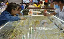 Tâm lý lạc quan trở lại, giá vàng dự báo tăng