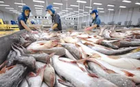 Xuất khẩu thủy sản có thể cải thiện lợi nhuận trong nửa cuối năm
