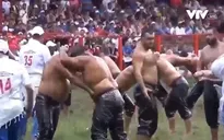 Giải đấu vật bôi dầu oliu