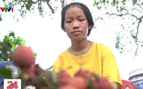 Cặp lá yêu thương: 4 anh em mồ côi ở với bác ruột