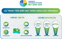 Giảm thiểu dấu chân carbon trong chuỗi giá trị - điều cần thiết để tiến đến Net Zero