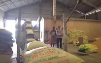 Gạo Ấn Độ đang được ưu tiên bán cho thị trường trong nước
