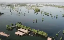 Hiện tượng El Nino làm thay đổi nhiệt độ và lượng mưa