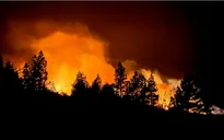 Cháy rừng ở đảo La Palma của Tây Ban Nha khiến hàng nghìn người phải sơ tán
