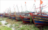 Ứng phó bão số 1: Kêu gọi tàu, thuyền ở khu vực nguy hiểm về nơi tránh, trú an toàn