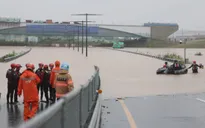 Tổng thống Hàn Quốc họp khẩn ứng phó tình hình mưa lũ