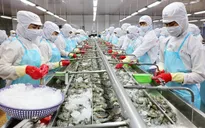 Xuất khẩu thủy sản đón cơ hội phục hồi ở nửa cuối năm