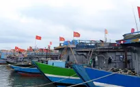 Hải Phòng dự kiến cấm biển từ 21h ngày 17/7 để phòng chống bão