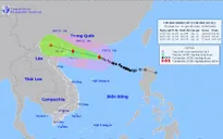 Bộ Y tế yêu cầu trực cấp cứu 24/24, sẵn sàng thu dung cấp cứu trong mưa, bão