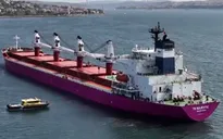 Thổ Nhĩ Kỳ - Nga thảo luận về thỏa thuận ngũ cốc Biển Đen