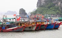 Ứng phó với bão số 1: Các địa phương đảm bảo an toàn về người và tàu thuyền
