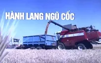 Không có lần gia hạn thứ tư, Nga chấm dứt hiệu lực thỏa thuận ngũ cốc Biển Đen