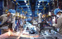 Kinh tế Việt Nam sẽ tăng trưởng mạnh trong nửa cuối năm