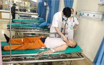 Cấp cứu 3 người bị sốc phản vệ mức độ nặng do bị ong đốt