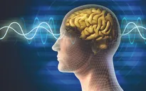 Ứng dụng công nghệ AI giúp phục hồi trí nhớ ở bệnh nhân chấn thương sọ não