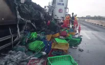 Xe tải chở ếch và ba ba bốc cháy ngùn ngụt trên cao tốc