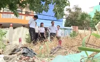 Không để dịch sốt xuất huyết và tay chân miệng bùng phát