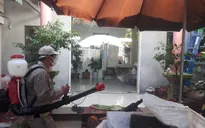 Hà Nội: Số ca mắc sốt xuất huyết tăng, tay chân miệng giảm so với tuần trước
