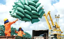Xuất khẩu gạo hướng tới mục tiêu 7 triệu tấn