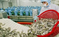 Vương quốc Anh sẽ công nhận Việt Nam là nền kinh tế thị trường trong điều tra phòng vệ thương mại