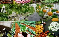 Nông sản hữu cơ Việt Nam có mặt trên 180 quốc gia và vùng lãnh thổ