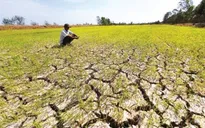 El Nino có thể khiến kinh tế toàn cầu "bay hơi" hàng nghìn tỷ USD