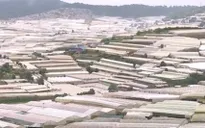 Đà Lạt và bài toán về quy hoạch bền vững