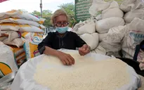 Thái Lan lo giá gạo tăng sau khi Ấn Độ hạn chế xuất khẩu