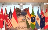 G20 bất đồng về giảm tiêu thụ nhiên liệu hóa thạch