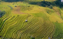 Sapa, Bà Nà, Đà Lạt được báo chí quốc tế vinh danh