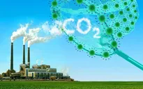 Xu hướng chuyển dịch xanh trong ngành Vật liệu xây dựng