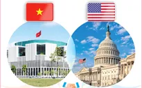 Quan hệ Đối tác toàn diện Việt Nam - Hoa Kỳ phát triển toàn diện, thực chất, ngày càng đi vào chiều sâu