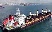Liên hợp quốc kêu gọi Nga trở lại đàm phán thỏa thuận ngũ cốc Biển Đen